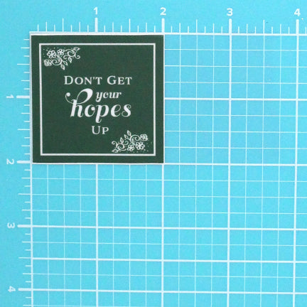 SNARKY GIFT TAG: DON'T GET YOUR HOPES UP STICKER