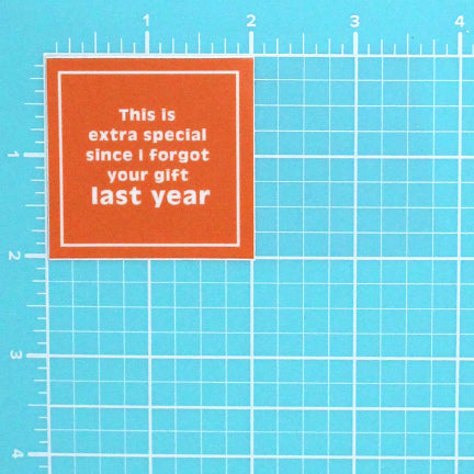 SNARKY GIFT TAG: THIS IS EXTRA SPECIAL SINCE I FORGOT YOUR GIFT LAST YEAR STICKER