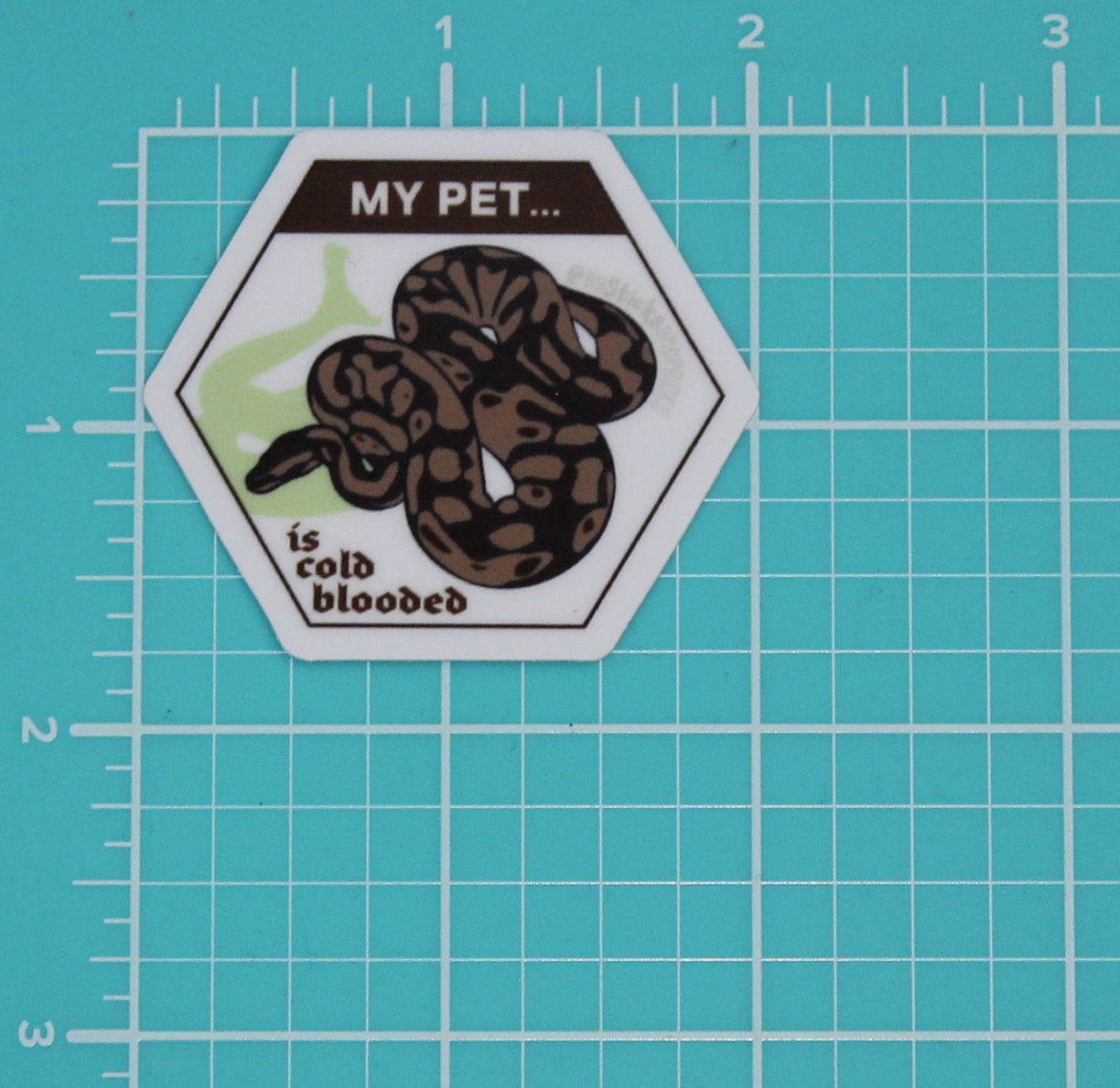 SNAKE - ALTERNATIVE PET SERIES STICKER